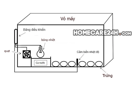 Cấu tạo máy ấp trứng gà