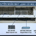 Nguyên nhân và cách xử lý khi điều hòa có mùi hôi khó chịu